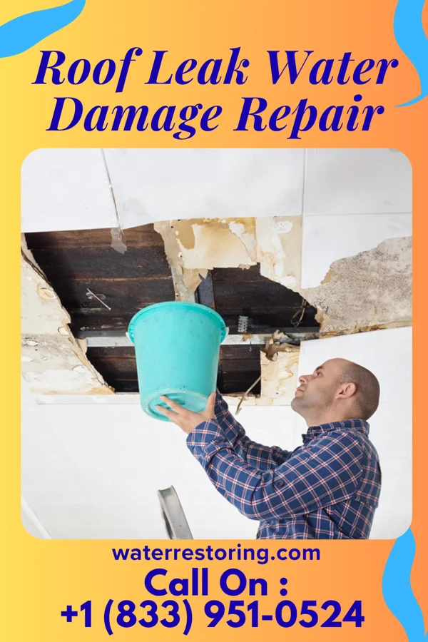 Roof Leak Water Damage Repair in Harrietta, MI