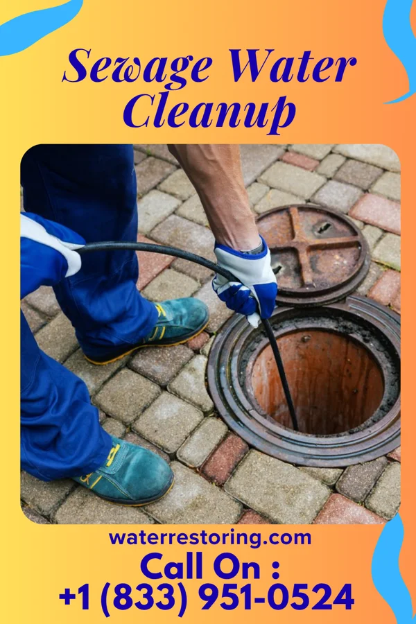 Sewage Water Cleanup in Harrietta, MI