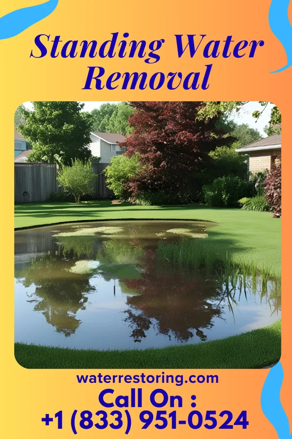 Standing Water Removal in Harrietta, MI